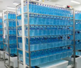 斑马鱼养殖系统